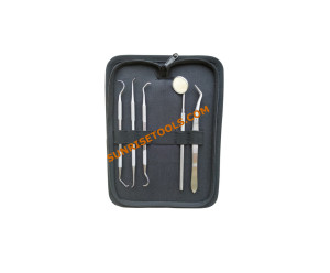 Dental Kit Set Of 5 Pcs