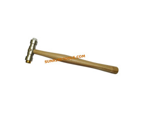 Hammer replaceable Head